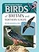 Identification Guide to Birds of Britain & Northern Europe