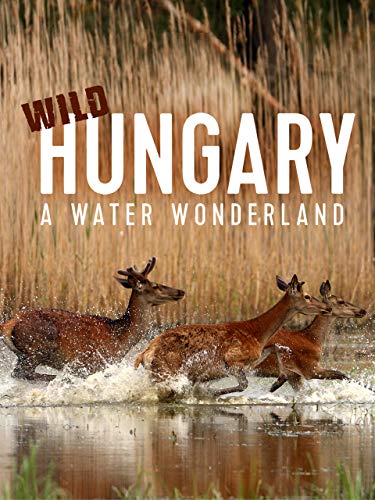 Wild Hungary - A Water Wonderland