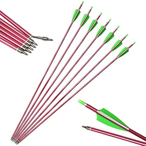 Flèches en Aluminium ZSHJGJR 12pcs Cover