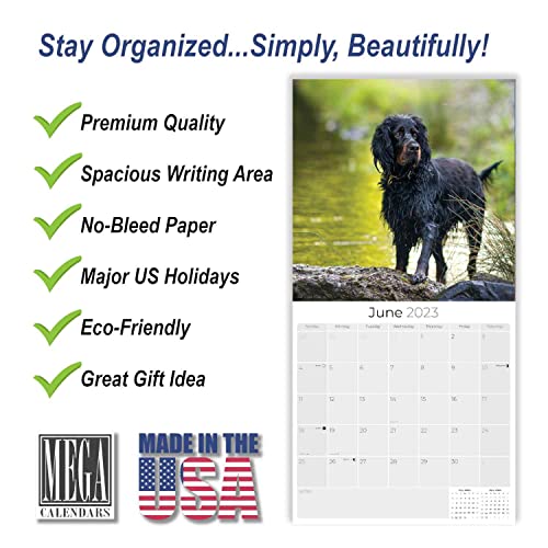 2022 2023 Gordon Setter Calendar - Dog Breed Monthly Wall Calendar - 12 X 24 Open - Thick No-Bleed Paper - Giftable - Academic Teacher's Planner Calendar Organizing & Planning - Made In Usa #TOP1
