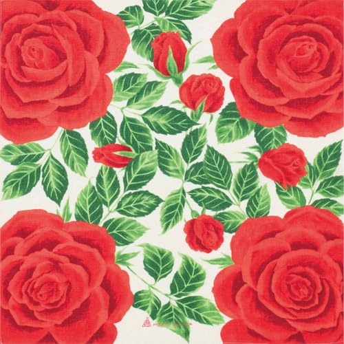 C~ ȏӂ낵 o (100%)obLK  50cm