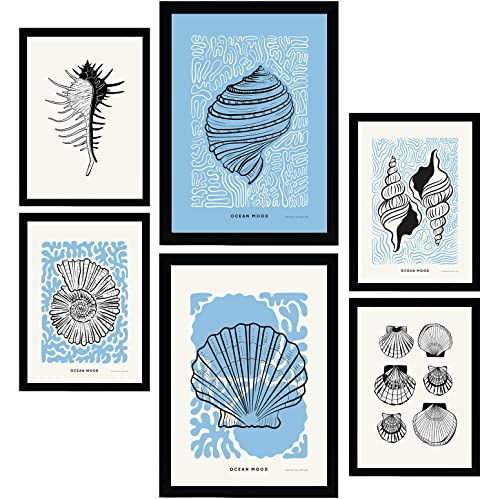 Nacnic Set di 6 poster a inchiostro nero. Conchiglie rotonde. Stampe artistiche del mare e dell'oceano per l'arredamento e la decorazione d'interni. A3 & A4, senza cornici.