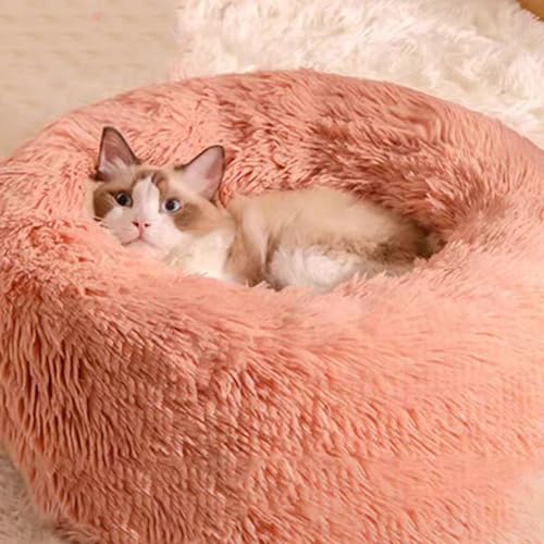 [ADSNS] ybgxbh ӂӂ NbV ی^ 􂦂  L g ybgNbV Lp ~^ ybg\t@ L̃xbh ~ J[3 \ ӂӂ  ӂ 40 n Vv  ^ ^