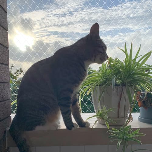 heqxwl Nylon Katzenschutznetz Katzennetz für Balkon Ohne Bohren Transparent Können Zuschneidbar und Bissfest Balkonnetze für Katzen zur Absicherung von Terrasse, Fenster und Türen (3x3 m)