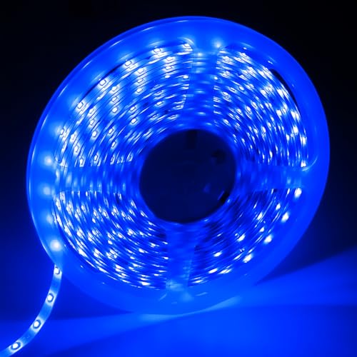 Ruban LED Extérieur 5m IP65 - Blanc Chaud 3000K - 120 LEDs/m - 12V - Neuf