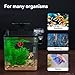 1.5 Gallon Aquarium Starter Kits - Plastic Fish Tank Kit Clear Beta Fish Tank Small with Filteration Oxygenation, Water Circulation, Lighting - Beginner's Gift for Guppy, Shrimp, Goldfish