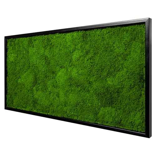 Moos Design | Moosbild in versch. Größen (Flat Design Holzrahmen: schwarz 60 x 30 cm)