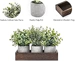 Dahey 3 Pack Mini Potted Artificial Eucalyptus Fake Plants with Wood Tray Centerpiece Table Decorations, Farmhouse Pulp Flower Pots Greenery Home Decor for Coffee Table Dining Room Office Kitchen