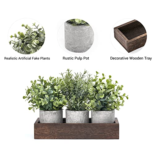 Dahey 3 Pack Mini Potted Artificial Eucalyptus Fake Plants With Wood Tray Centerpiece Table Decor, Farmhouse Pulp Flower Pots Greenery Home Decoration For Coffee Table Dining Room Office Kitchen #TOP3