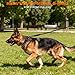 Taglory Hundehalsband, Weich Gepolstertes Neopren Nylon Hunde Halsband für Extra Große Hunde, Verstellbar und Reflektierend für das Training, Schwarz