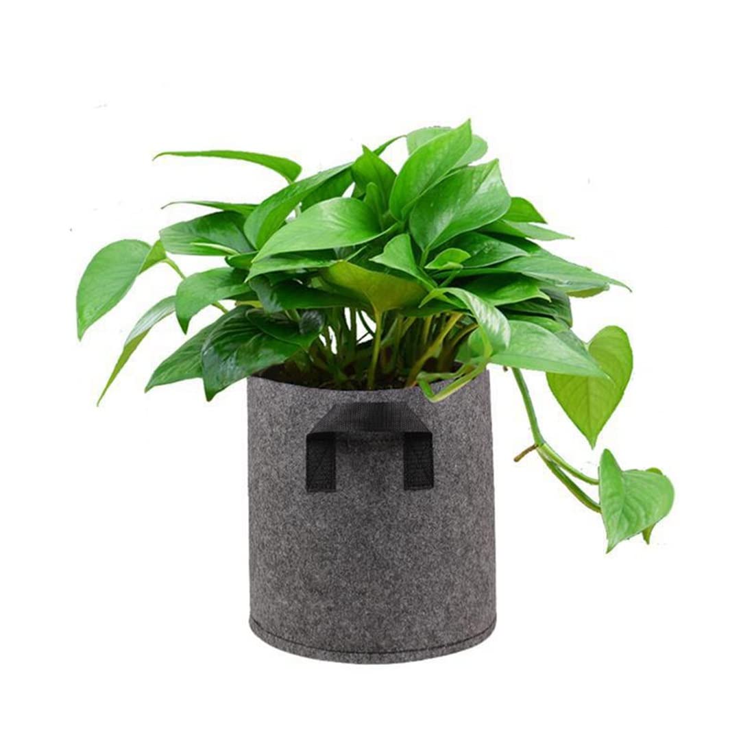 Bolsa de Cultivo de Fieltro de 5 uds. De galones, macetas de Cultivo de Tela para Plantas, Bolsa para jardineras, macetas para Verduras con Asas, macetas para Plantar