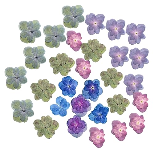 30 piezas flores secas prensadas decorativas para manualidades