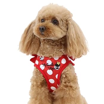 ペットパラダイス　ミニーマウス 赤と白の水玉模様 ペット用ベッド Amazon | ペットパラダイス 犬 ハーネス ディズニー ミニー