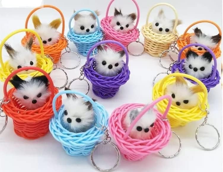 Birthday party Return gift ideas bulk for kids children boys girls Cute Kitty in Sitting Basket Keychain, Fur Cat Sitting in Plastic Basket Gifts cradle cermony baby naming (12) (B0CCLHDSXX) Amazon Price History, Amazon Price Tracker