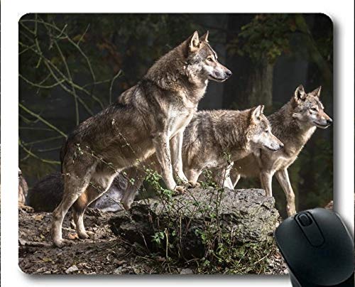 Flying Pig Men Mouse pad,Wildlife Predator Wolf Rubber Gaming Mouse pad (Multicolor)