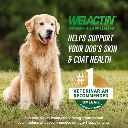 Nutramax Welactin Omega-3 Fish Oil Supplement for Dogs, Softgel Caps, 120ct - image 2
