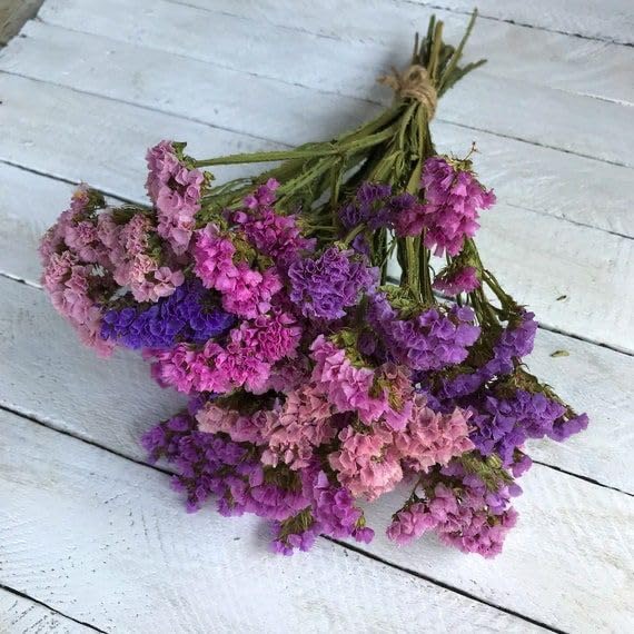 Arte Casa Decorative Statice BunchNaturally Dried Flower for Vase Filler for Home Dcor|Indoor |Office Dcor (Multi, 30 Stems)-image-23