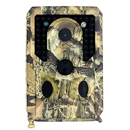 Best Thermal Imagers For Hunting 10Reviewz