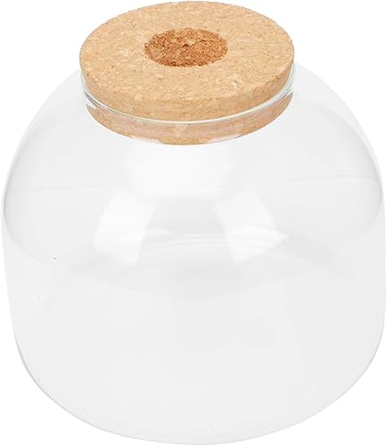 Yardwe 2 juegos de micro paisaje botella ecológica decoración decoración mini plantas suculentas terrarios de vidrio para plantas botella de