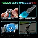 flintronic LED Leuchthalsband Hunde Halsband, Leuchtend Hundehalsband, Sicherheits LED Leuchtband für Hunde Katzen, LED Licht Blinklicht mit Klettverschluss, Helle Sicherheit für Die Nacht