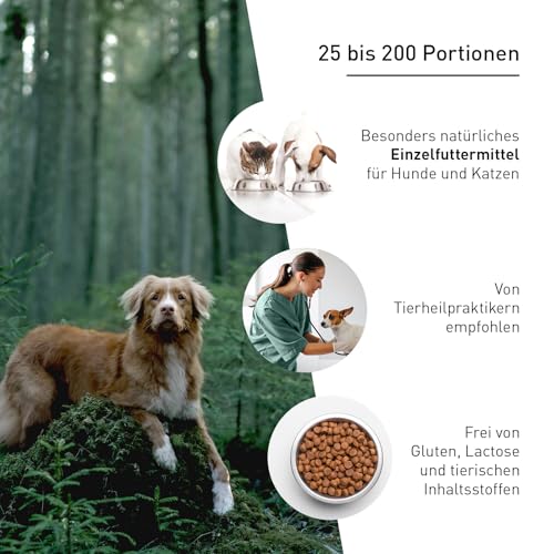 DANUWA Vitamin B Komplex für Hunde - Hochwertiger Vitamin-B-Komplex aus Buchweizenkeimlingen – Unterstützt Stoffwechsel & Vitalität – Pflanzlich & Natürlich