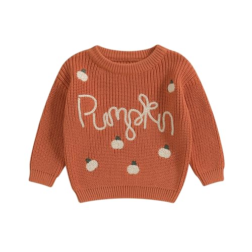 Toddler Baby Halloween Sweater Long Sleeve Crew Neck Pumpkin Embroidery Pullover Sweater Fall Winter Knitwear