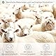 zizzz 4 Jahreszeiten Bio Bettdecke 200x220 cm - Atmungsaktiv & unglaublich weich - Natur Decke mit Swisswool Füllung (290g/m2) - Hochwertiges Duvet für das ganze Jahr