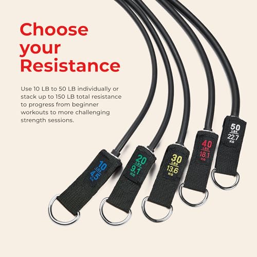 Image of Sunny Health & Fitness Premium Resistance Band Set with Door Anchors, Wrist Straps, Handles Carry Bag Optional Padded Ankle Straps (Pair) for Strength Training, Booty Workout, Lower Body Exercises
