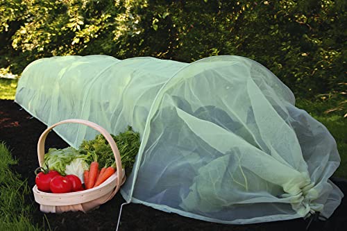 Terre de Jardin Haxnicks Facile Poly Tunnel Jardin Cloche