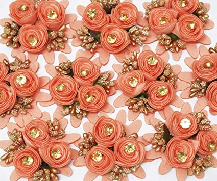 ALEVAN Crafts Fabric Flower Set of 10pcs (Peach) (B0BGRNYJQ1) Amazon Price History, Amazon Price Tracker