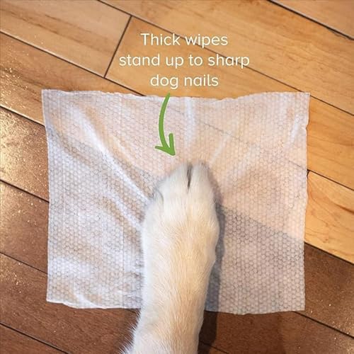 Image of Cature Care by Nature Biodegradable Pet Wipes - Aloe Vera & Neem, Gentle & Effective Cleaning for Pets (100 Wipes)