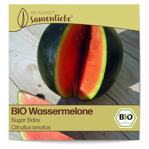 Samenliebe BIO Wassermelonen Samen alte Sorte Sugar Baby besonders süße und saftige Melone rund rot 10 Samen samenfestes Gemüse Saatgut für Gewächshaus Freiland und Balkon BIO Gemüsesamen