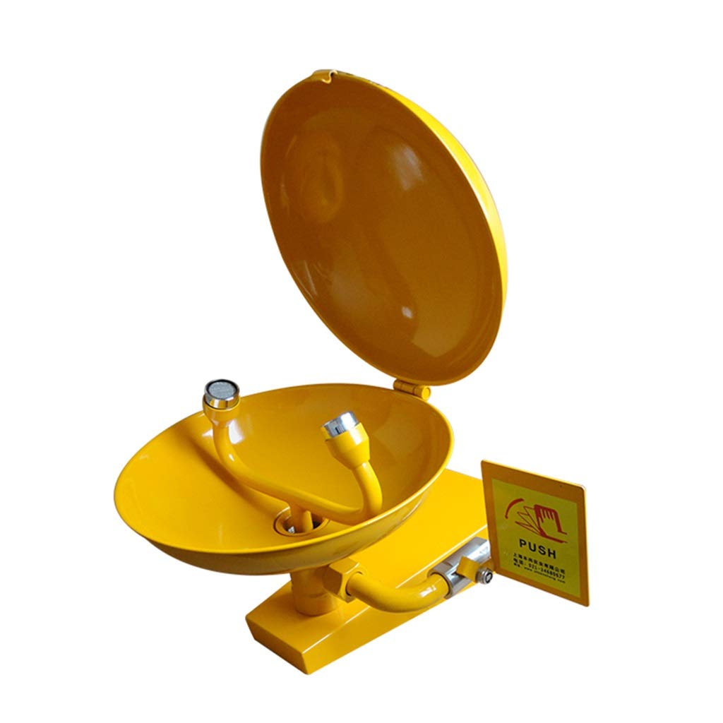 BBGS Lavaocchi con Coperchio, Lavaocchi di Emergenza Spray Doppia Bocca da Laboratorio Dispositivo per La Pulizia degli Occhi da Tavolo/A Parete (Color : Style 1)