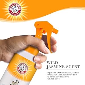   Arm-Hammer-for-Pets-Ultra-Fresh-Waterless-Bath-Spray-for-Dogs-in-White-Jasmine-Scent-Dry-Dog-Shampoo-Dog-Spray-Waterless-Dog-Shampoo-and-Dog-Deodorizing-Spray-Dog-Spray-Deodorizer-Perfume