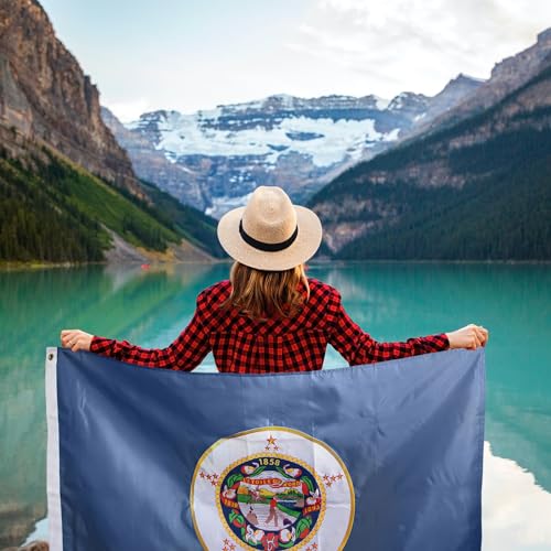Aquí Está El Diseño General Final De La Nueva Bandera Del Estado De - Foto 8
