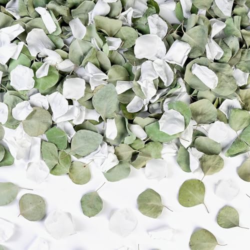 Eslibin 250PCS Real White Rose Petals & Eucalyptus Leaves for Wedding Decor