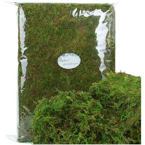 BYHER Craft Moss, 35OZ Fake Moss for Potted Plants Indoor, Artificial Moss for Faux Plant Fairy Garden Table Centerpieces Wedding Decor, 2.18 Pounds Fresh Green Moss Cover