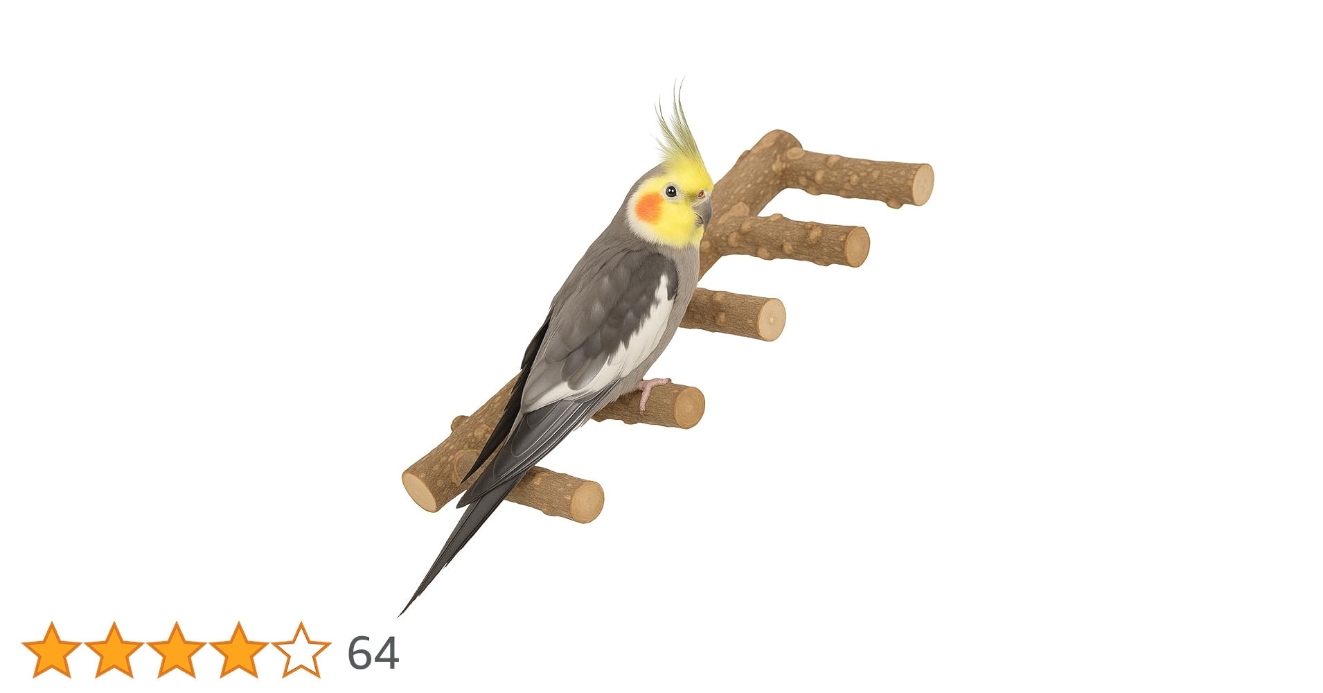 鳥と木の枝 51tT25GNBVL.jpg_BO30,255,255,