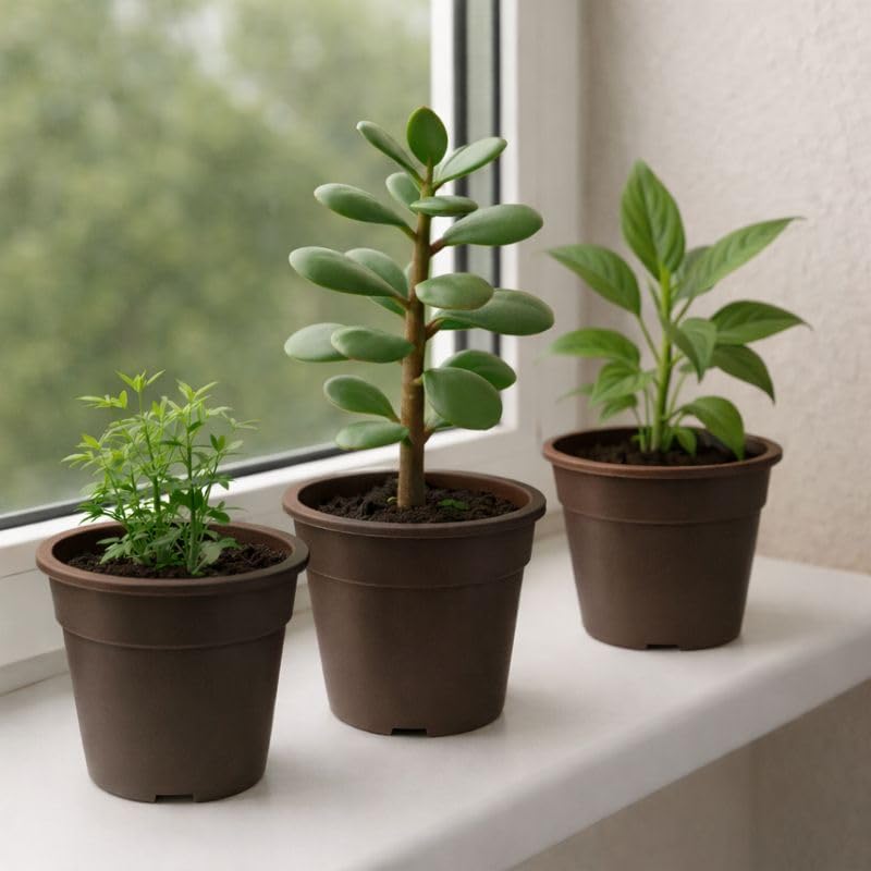 Image of Indian Gardens - 4 inch Indoor (Pack of 10) Plastic Small Colour pots | Plastic Plant Pot for Terrace Garden (Brown)