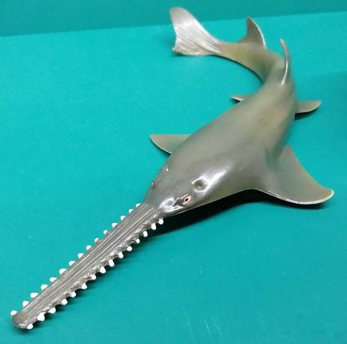ノコギリエイの吻　約58㎝ ノコギリエイ吻/鮫鰐標本/鮫の歯/112cmレア/魚類/サメ、エイ剥製(科学