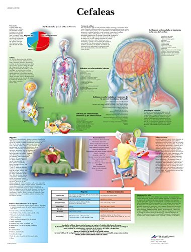 3B Scientific VR3714L Impreso En Papel, Cefaleas