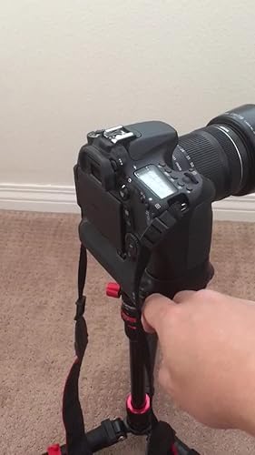 ZOMEI M5カメラ三脚、軽量旅行アルミ三脚一脚コンパクトなポータブル写真三脚 Amazon | ZOMEI M5カメラ三脚、軽量旅行用アルミニウム三脚一脚