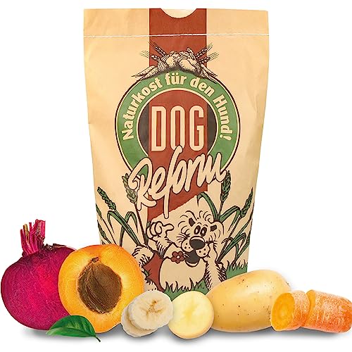 Schecker Hundefutter Veggie Mix mit Gemüse + Früchten, 2 kg