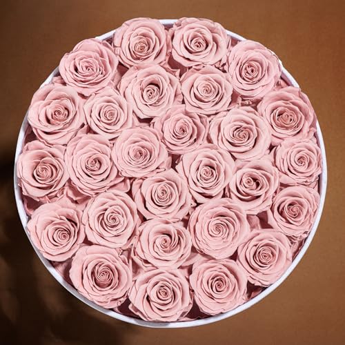 27 Flowers in a Luxury Suede Box, Birthday Gifts for Women, Preserved Flowers, Mothers Day Roses Gift for Mom, Dusty Rose