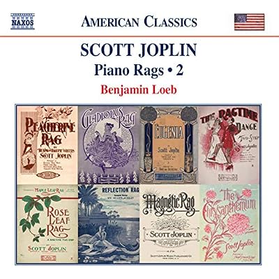 JOPLIN: Piano Rags, Vol. 2