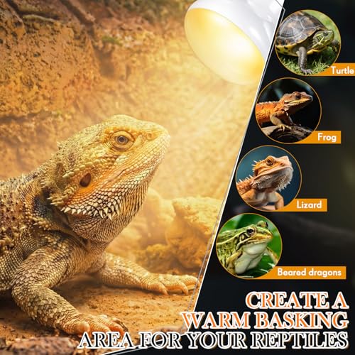 Image of VIHOSE 12 Pack 100 W Reptile Heat Bulbs White Heat Lamp Bulb White Lamp Basking Light Bulb for Reptile, Bearded Dragon, Lizard, Tortoise, Chicken, Leopard Gecko, Amphibian, Pets