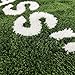 Wet Grass Rug - Green Grass Classic Handmade Flocked Area Rug - Hypebeast Home Decor Carpet - 20 * 32in (50 * 80cm) Indoor Entryway/Bathroom Mat/Sneaker Display Mat - Artistic Premium Floor Mat