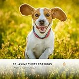 Pets Music Group