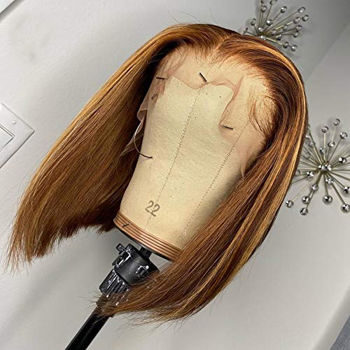 4X4 Highlight 4-27 Lace Closure Wig Short Bob Lace Front Wigs Human Hair Bleached Knots Brazilian Remy Human Hair Wigs Pre Plucked. (10inch, Density 150)