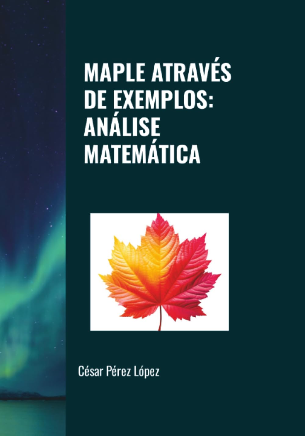 MAPLE ATRAVÉS DE EXEMPLOS: ANÁLISE MATEMÁTICA
